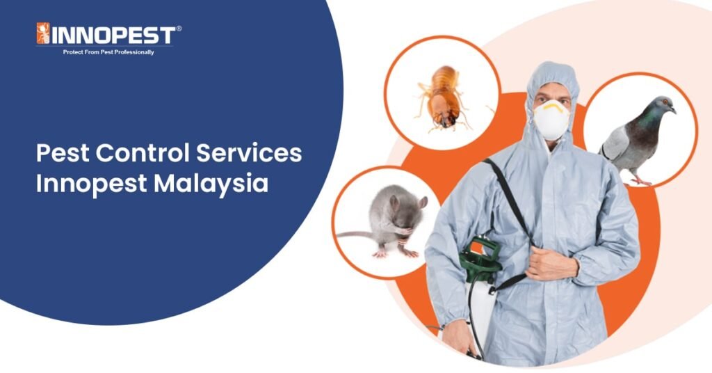 Innopest – Pest Control Company official company image