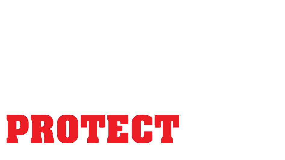 Panther Protect Security Mesh System official company image