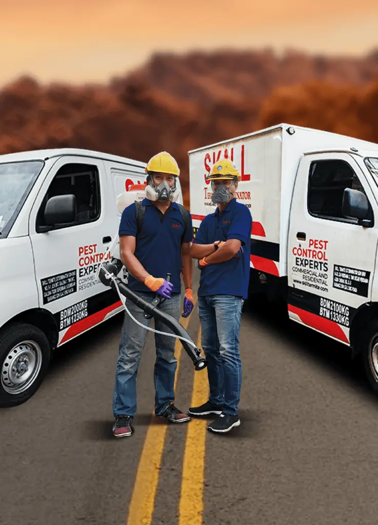 Skill Termite Exterminator Sdn Bhd – Pest Control Professional official company image